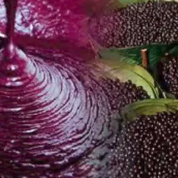 Açaí do Bonzão