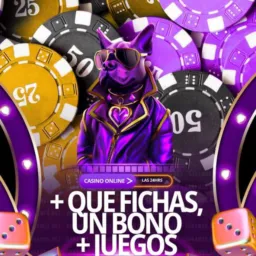 Casino online 🎰