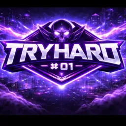 X-TREINO ONLINE 01