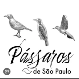 Venda e rolo de pássaros somente São Paulo