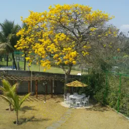 Venda e aluguel de imóveis Vetor Norte