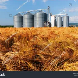 Mercadão dos silos