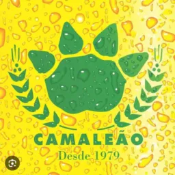 Top camarotes