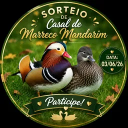 VB premiações Exóticas!🐓🦆