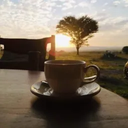 CAFÉ COM MÚSICA