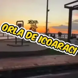 OLX ICOARACI ORLA❤🔥
