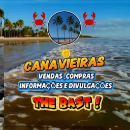 CANAVIEIRAS COMPRA, VENDA, INFORMAÇÕES E DIVULGAÇÕES                                   🛒   💲   ℹ️   📢