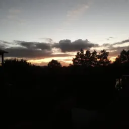 Amigos de Sc