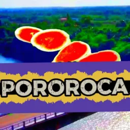 🏴‍☠️ARARÍ 🍉POROROCA🏄‍♂️🏄🏻‍♀