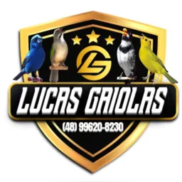 🎆LUCAS GAIOLAS LUXO