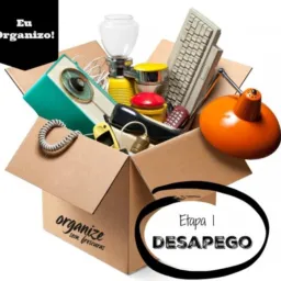 DESAPEGO TEFÉ 🔺