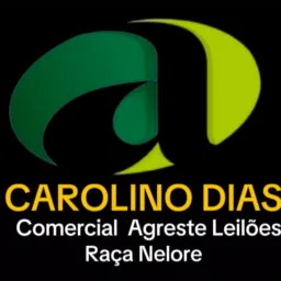 Agreste Leilões - Comercial Nelore 1