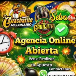 AG ALEJANDRA12 🦓🐭🐕Animalito🐴🐷🐷🐮🐯🐭 BIENVENIDOS JUGADAS CON PIX SIN PIX NO PASO JUGADAS  70744763231 PIX YEIMAR ALEJANDRA ROSALES REYES