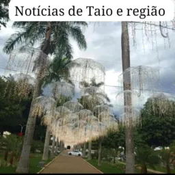 Novo notícias de taio