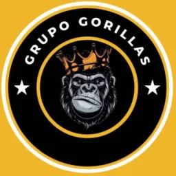 Gorilas 🦍 Divulgação 🚀