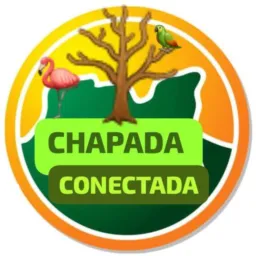 CHAPADA CONECTADA 📡
