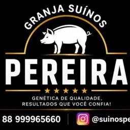 200 ° Rifa suínos pereira