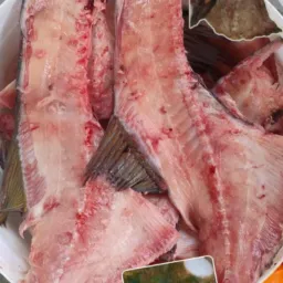 Grupo e venda de espinhaço de Tambaqui😁😋