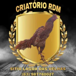 CRIATÓRIO RDM TRATADOR RONELLES VIGIA