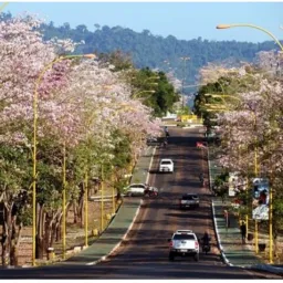 PARAUAPEBAS.COMPRAS & VENDAS 🚗🚲🏍️🏚️🖥️💽📺