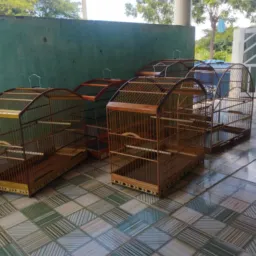 RIFAS DE PÁSSAROS E GAIOLAS 🐦🍀🕊️🌿