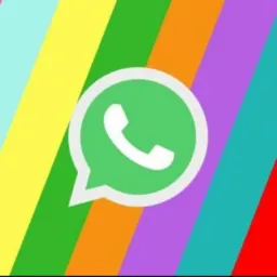 ✨Status & Visualizações✨🍃