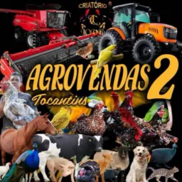 🇧🇷AGROVENDAS 2🇧🇷