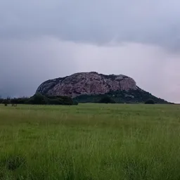 Serra caiada top em venda