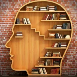 📒Biblioteca de Direito 2025
