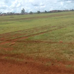 Grupo aldeia nhu pora oficial dourados cuidado removeu