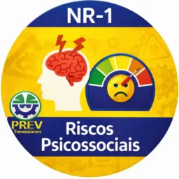 NR-1 PSICOSSOCIAL NETWORK 🚧