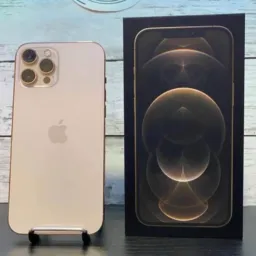 RIFA IPHONE 12 PRO MAX OU 2 MIL NO PIX📲💰
