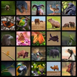 🐾🐾 SELVA ANIMAL 🐾🐾