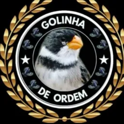 Golinha De Ordem🆚Azulão✓