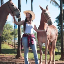 EU AMO SERTANEJO MÚSICAS E DIVULGAÇÕES DE GRUPOS DO WHATSAPP