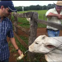 Sapezal Negocios em geral