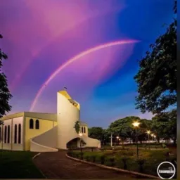 MUNDO NOVO trocas venda doaçãos