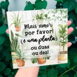 Venda e troca de plantas🌱