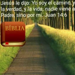 Os cristãos de Jesus