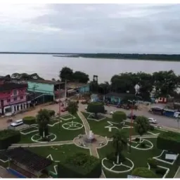 Grupo de vendas do Amazonas