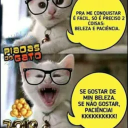 Só vendas Araguaína