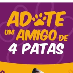 DOAÇÃO DE 🐈 e 🐕 de Pk