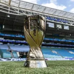 🏆 Paulistão 2025🏆