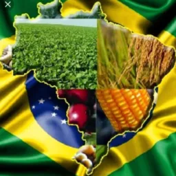 VENDA DE PRODUTOS AGROPECUÁRIOS🐂🐑🐃