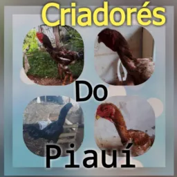 🪶Criadores do Piauí
