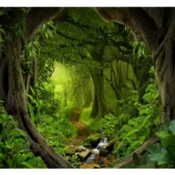MORADOR  Da.FLORESTA
