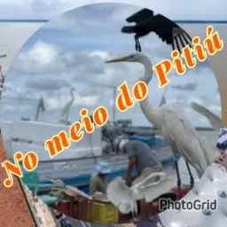 Gerações da brincadeira