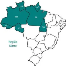 🚛"NORTE CARGAS 2026"💨
