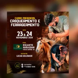 Curso casqueamento e ferrageamento - Feira de Santana