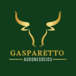 Crédito Rural e Operações Financeiras | Gasparetto Agronegócios